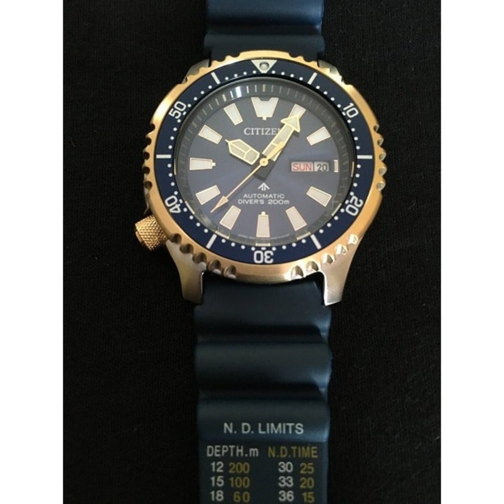 Citizen NY0096-12L